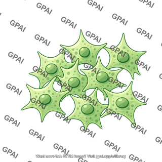 Hek 293t cell