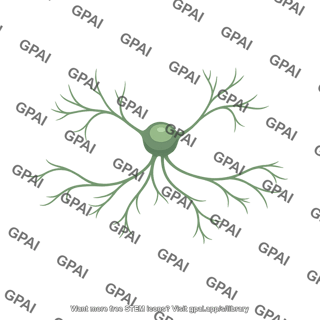 Retinal cell amacrine