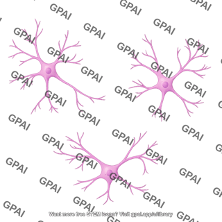 Cortical neuron cultured 3