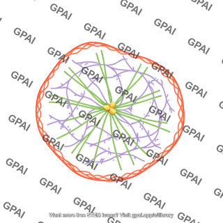 Cytoskeleton 1
