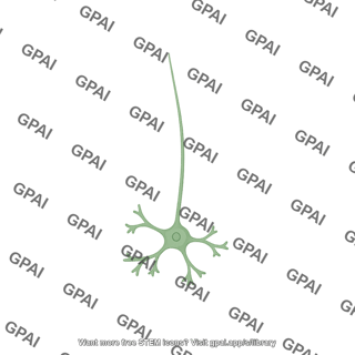 Granule cell cerebellar