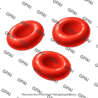 Red blood cell 3