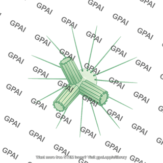 Centrosome schematic