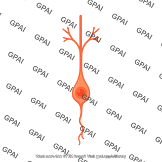 Granule neuron immature one process 1