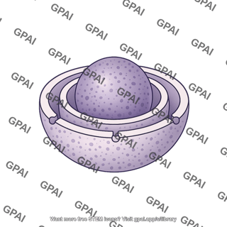 Nucleus shape 6