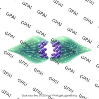 Cell spindle