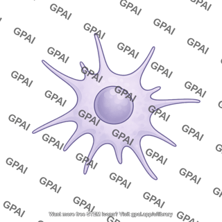 Dendritic cell plasmacytoid