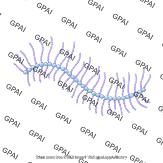 Hyaluronan brush curved long