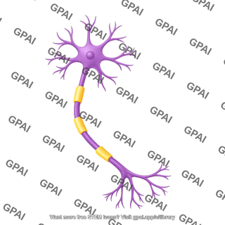 Multipolar neuron motor thick axon