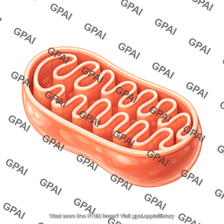 Mitochondria 3d filled 02