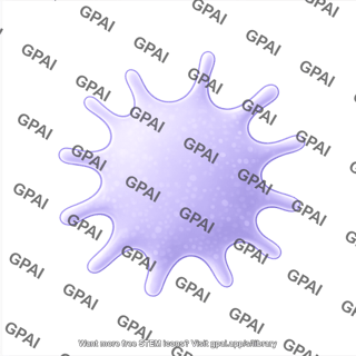 Cell shape 7