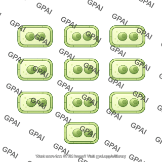 Plant cell 9