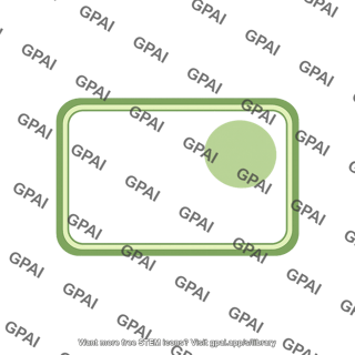 Plant cell 1