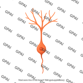 Granule neuron immature no dendritic spines 01