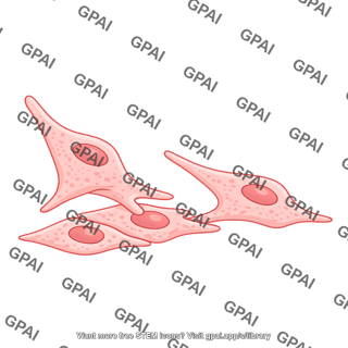 Endothelial cell active emigrating