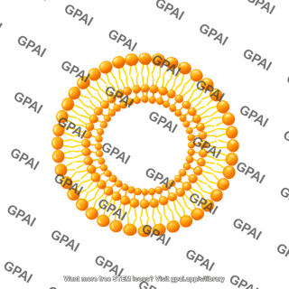 Niosome
