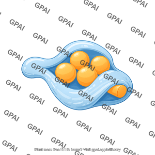 Schwann cell non myelinating