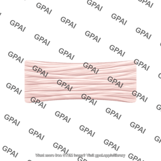 Tendon rectangular