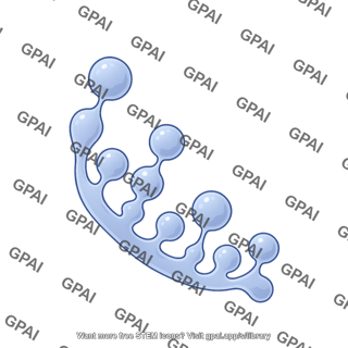 Trans golgi network early endosome 2d