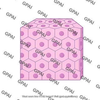 Tissue cube hexagonal front view