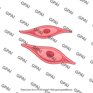 Cardiac endothelial cell