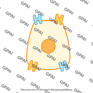Ionocyte
