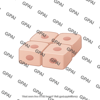 Epithelium simple cuboidal 2x2