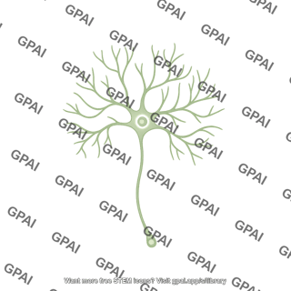 Retinal ganglion cell with dendrites