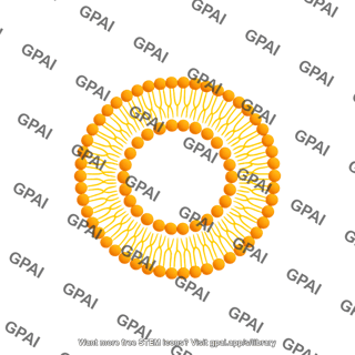Liposome
