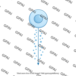 Cytokine release straight downward from cell