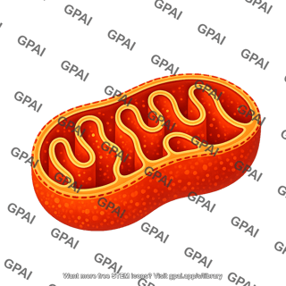Mitochondria 2d hollow dashed