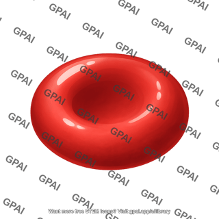 Red blood cell 1