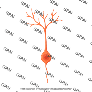 Granule neuron immature 01