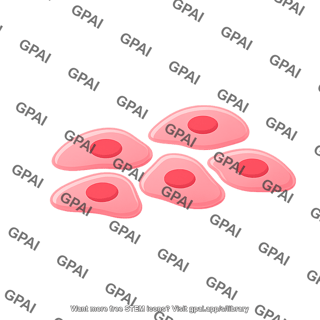 Cell squamous 5