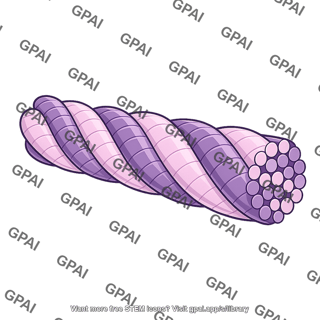 Collagen triple fiber