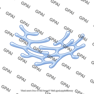 Smooth endoplasmic reticulum 2d tubular
