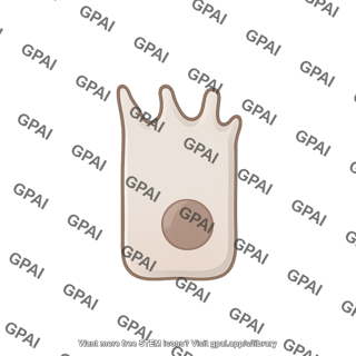 Enterocyte atrophied 1