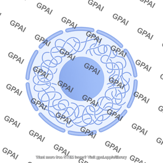 Nucleus blank