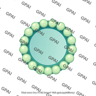 Microtubule cross section