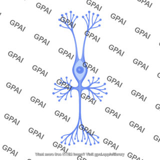 Retinal cell mueller glia