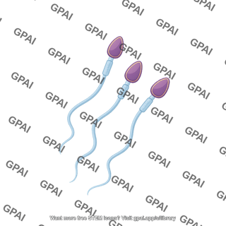 Sperm motile