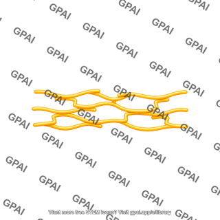 Elastin stretched short