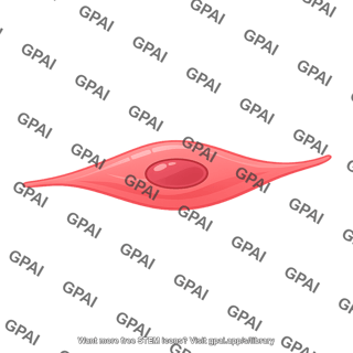 Smooth muscle cell