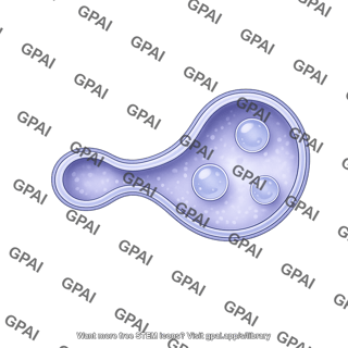 Endosome membrane early 2