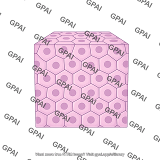 Tissue cube generic front view