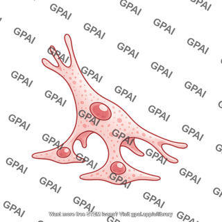 Endothelial tip cell