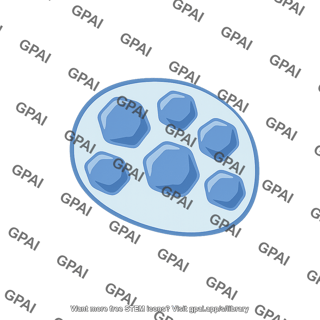 Proteinoplast