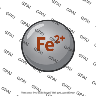 Iron ion fe2+