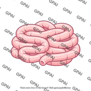 Small intestine