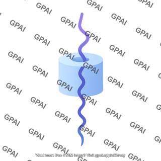 Translocation stage 8